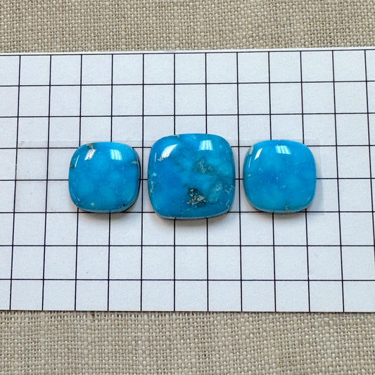 Kingman Ithaca Turquoise Cabochon Set