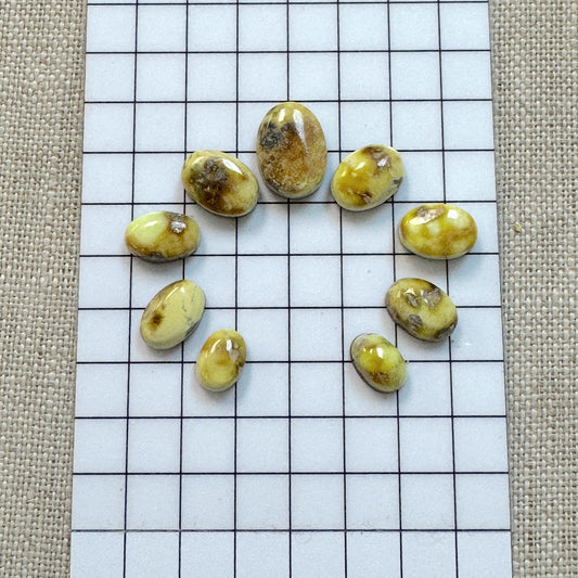Palomino Cabochon Set