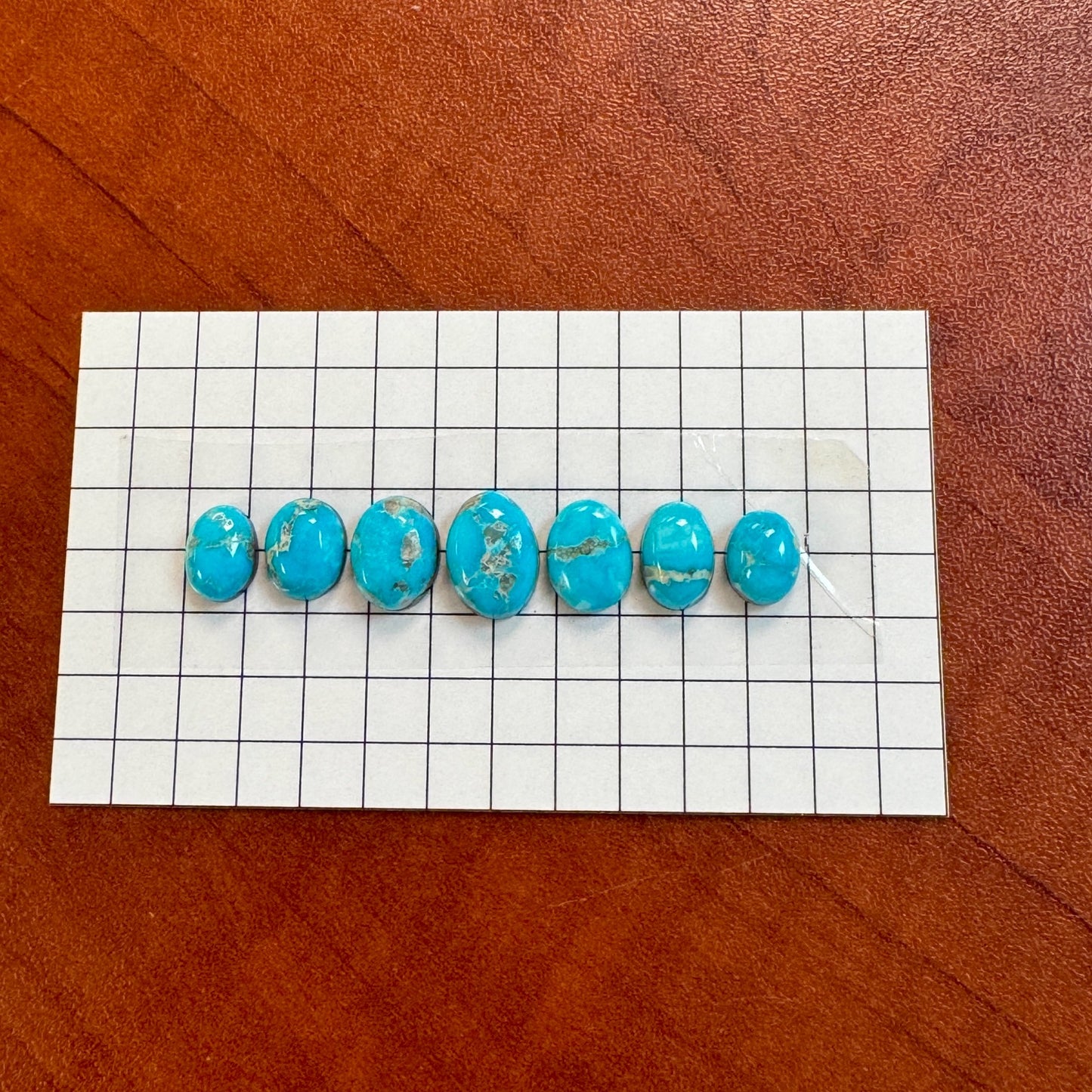 Bluebird Turquoise Cabochon Set