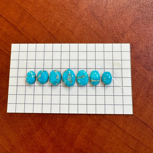 Bluebird Turquoise Cabochon Set