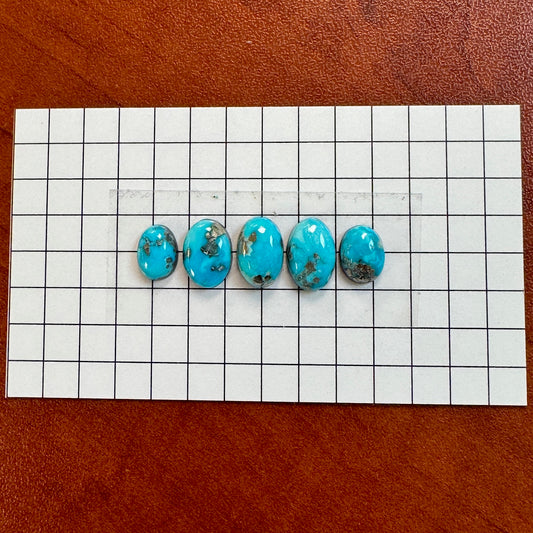 Bluebird Turquoise Cabochon Set