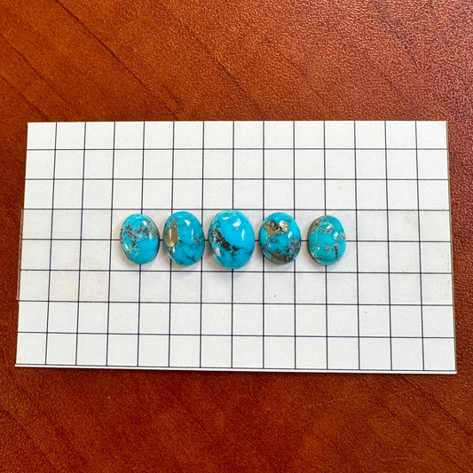 Bluebird Turquoise Cabochon Set