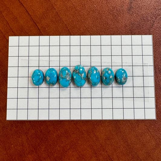 Bluebird Turquoise Cabochon Set
