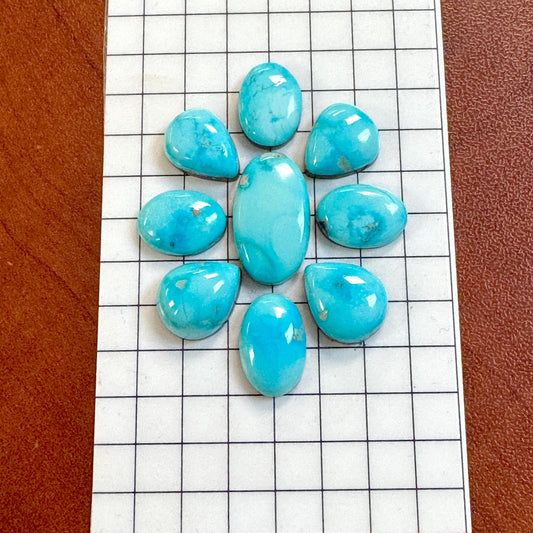 Bluebird Turquoise Cabochon Set