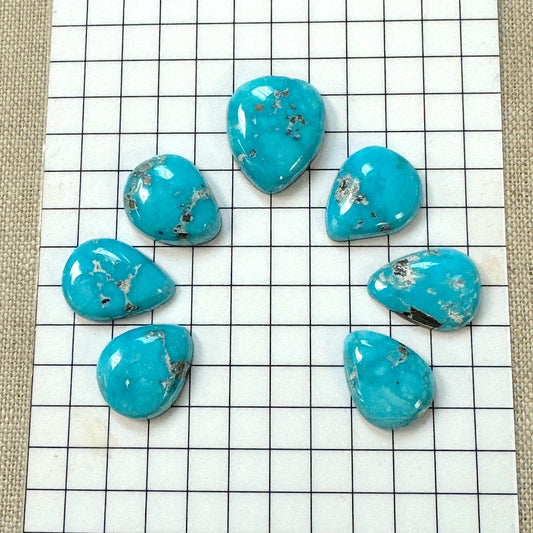 Bluebird Turquoise Cabochon Set