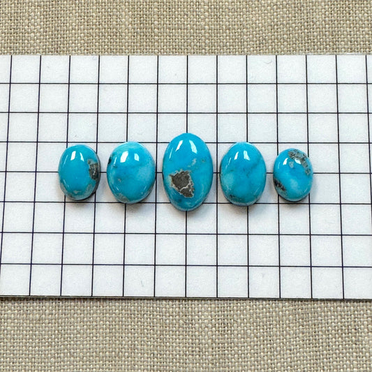 Bluebird Turquoise Cabochon Set