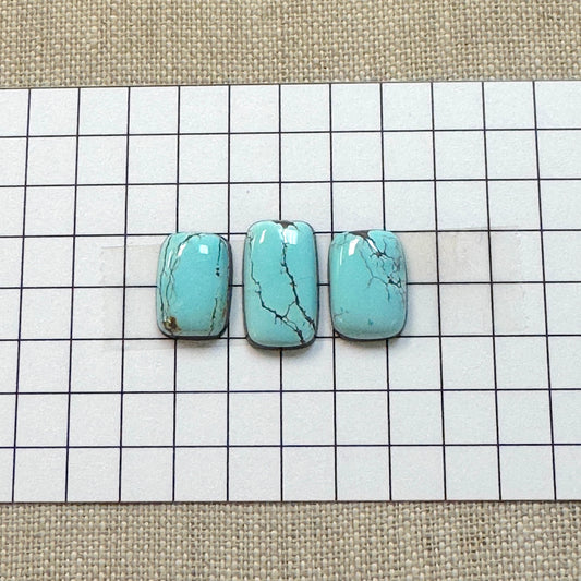 Redskin Cabochon Set