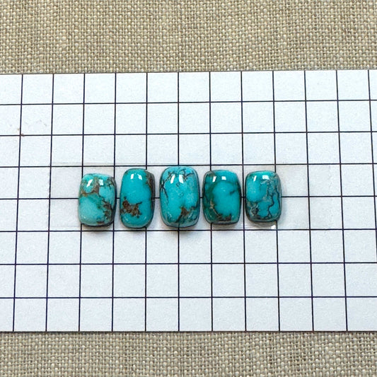 Redskin Cabochon Set