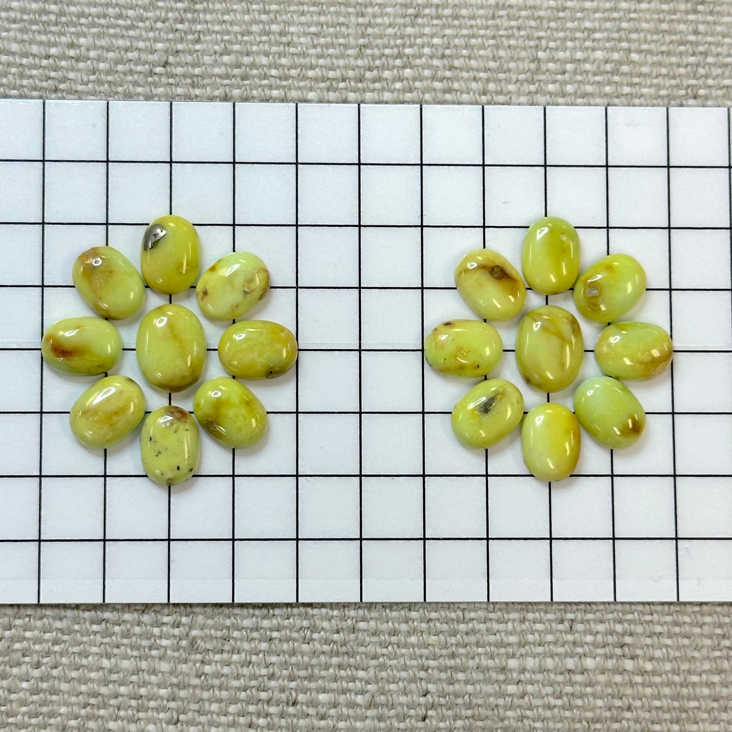 Palomino Calibrated Cabochon Set