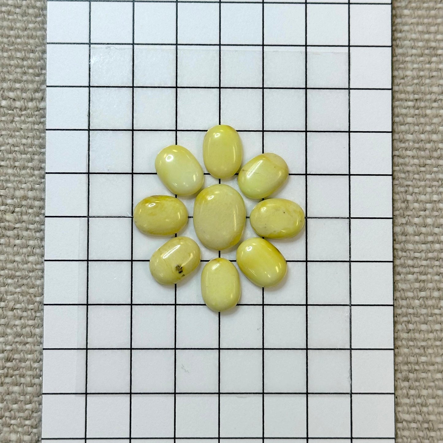 Palomino Calibrated Cabochon Set