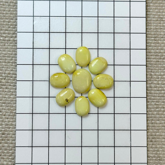 Palomino Calibrated Cabochon Set