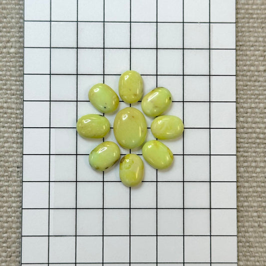 Palomino Calibrated Cabochon Set