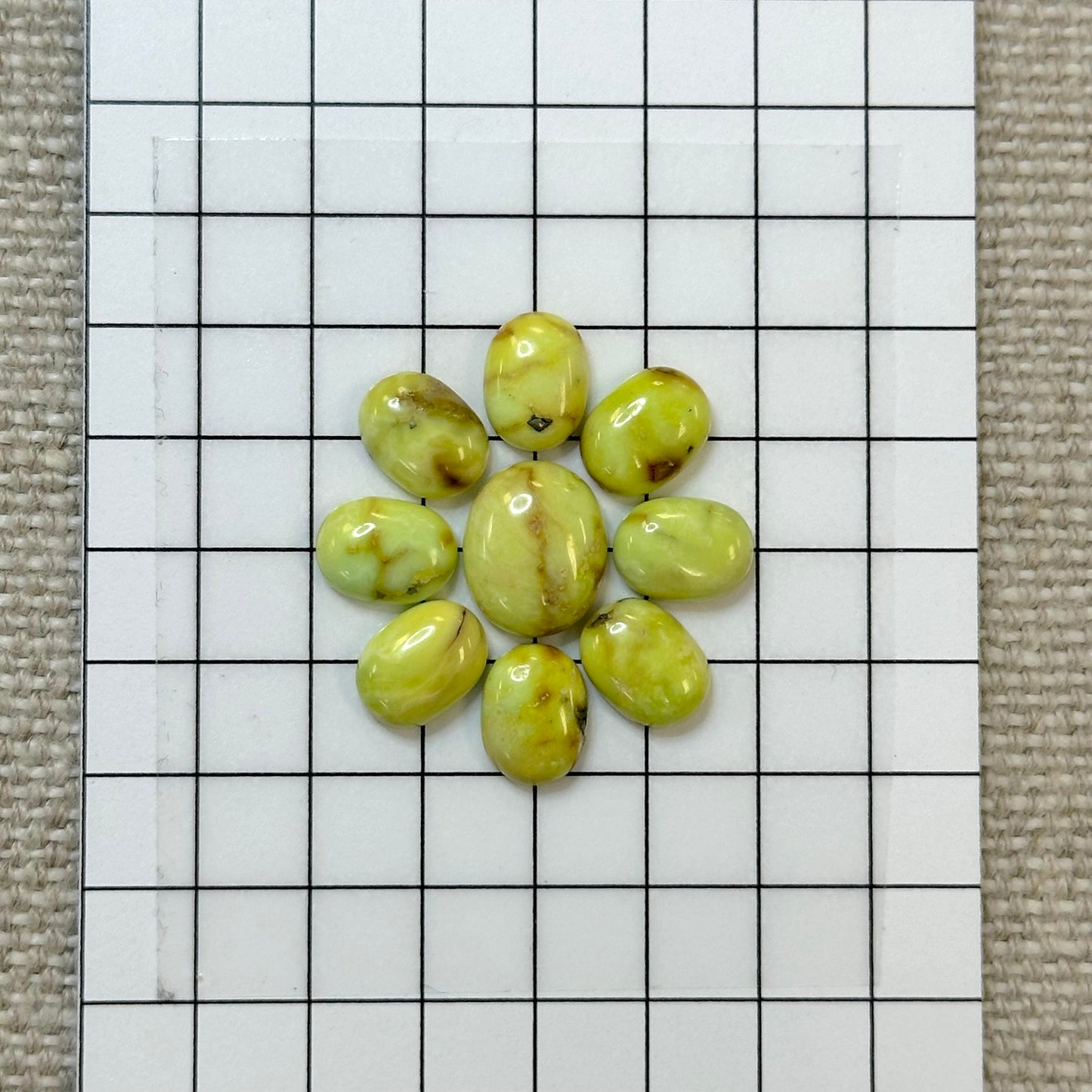 Palomino Calibrated Cabochon Set