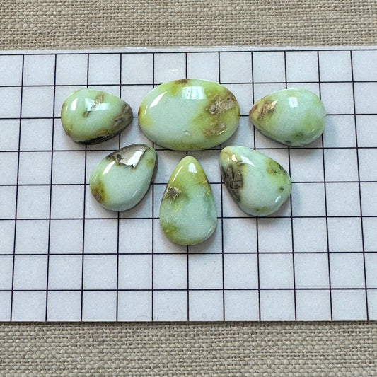 Palomino Cabochon Set