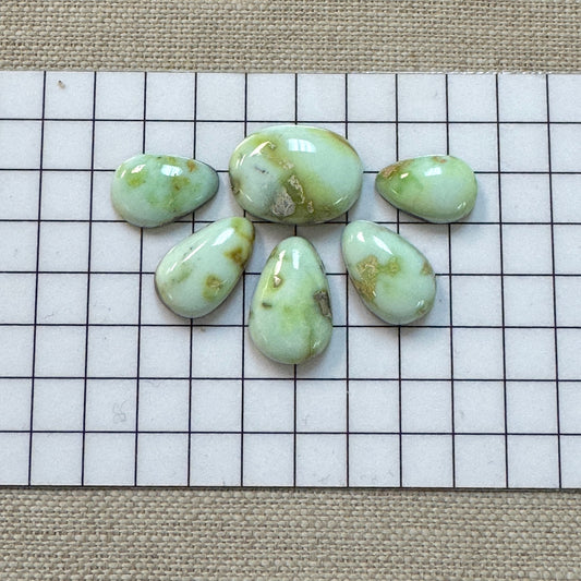 Palomino Cabochon Set