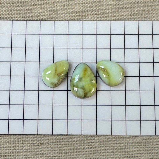 Palomino Cabochon Set