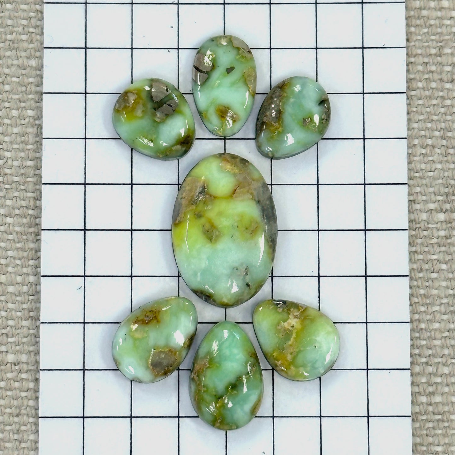 Palomino Cabochon Set