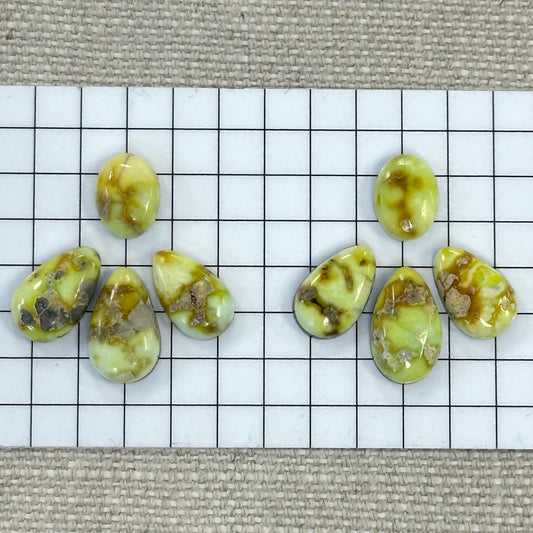 Palomino Cabochon Set