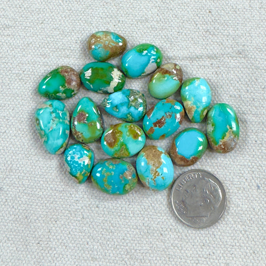 Sonoran Cabochon "Big Deal"