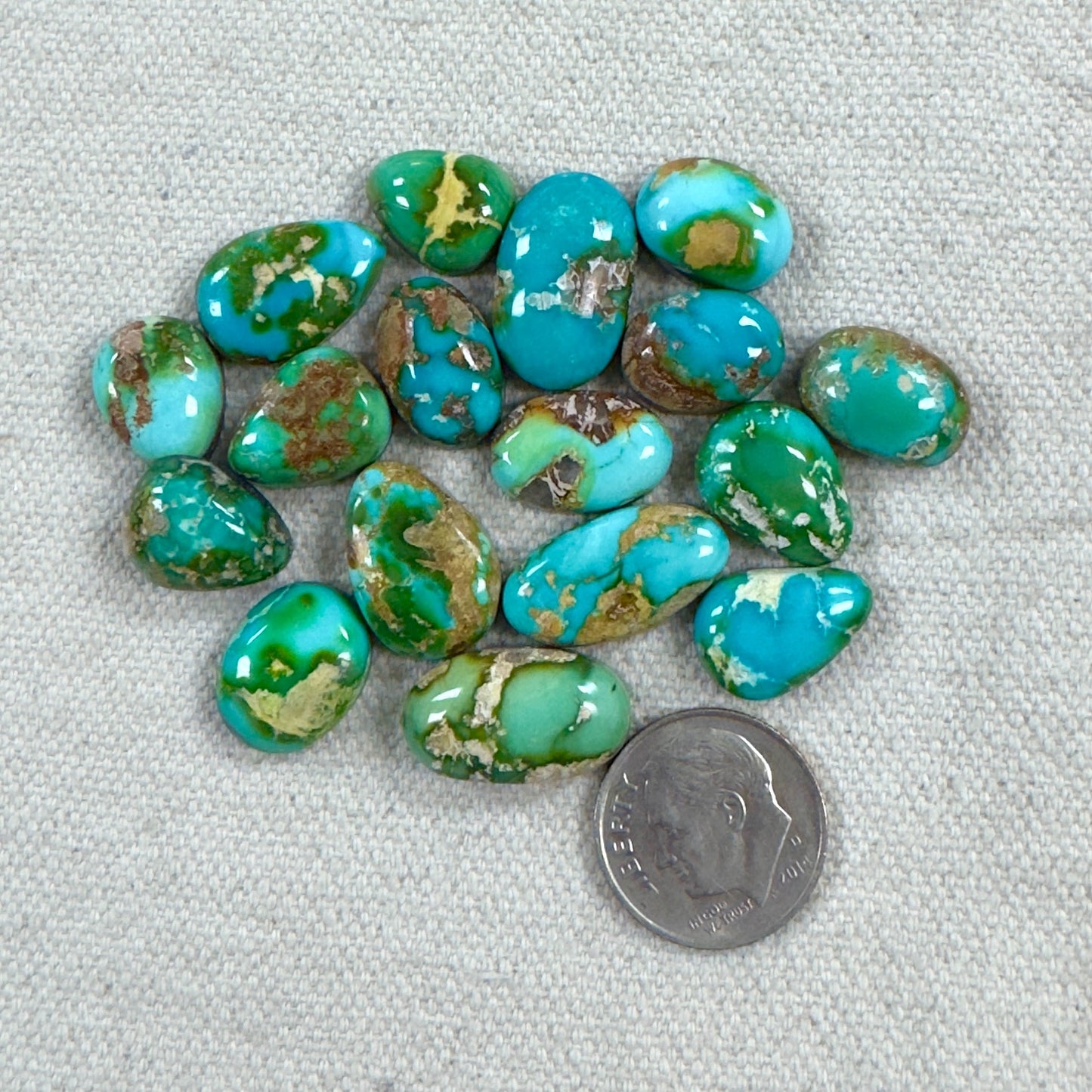 Sonoran Cabochon "Big Deal"