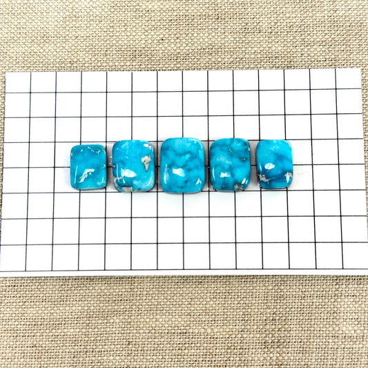 Bluebird Turquoise Cabochon Set