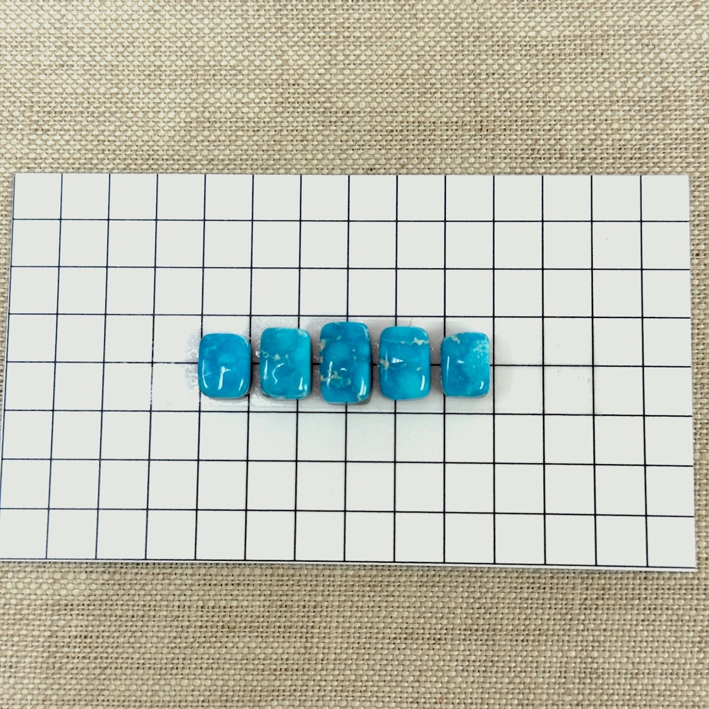 Bluebird Turquoise Cabochon Set