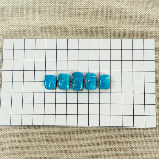 Bluebird Turquoise Cabochon Set