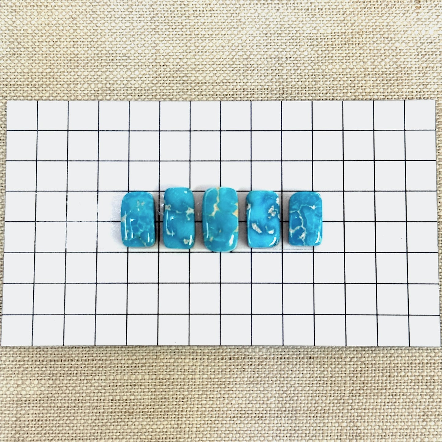 Bluebird Turquoise Cabochon Set