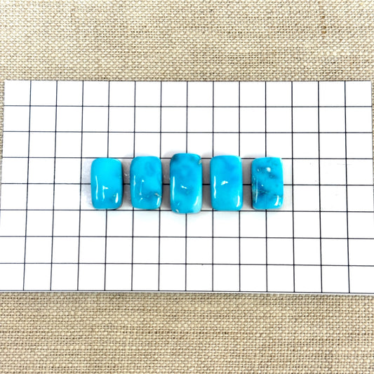 Bluebird Turquoise Cabochon Set