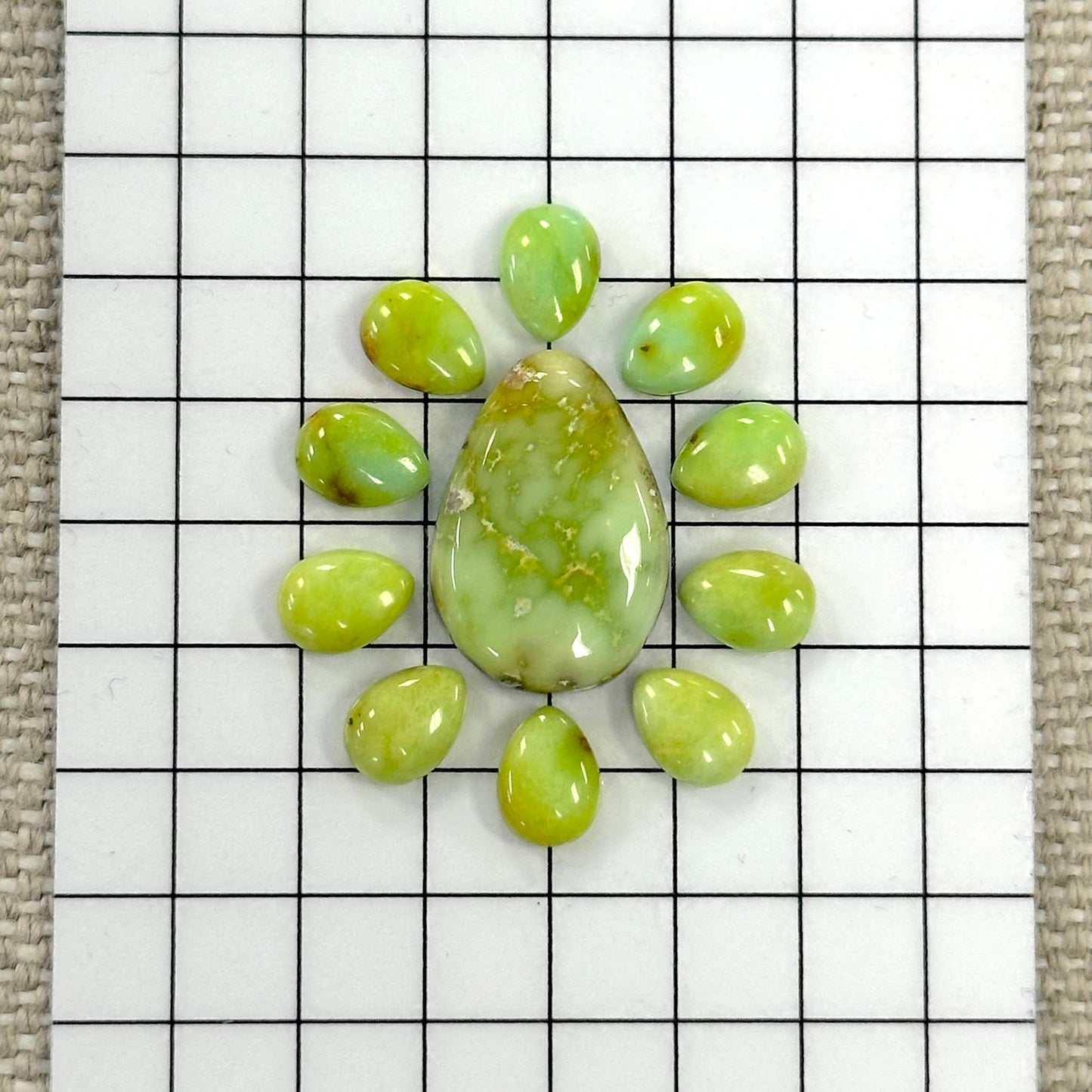 Palomino Cabochon Set