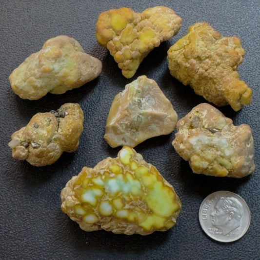 Palomino Rough Variscite-- 100 grams