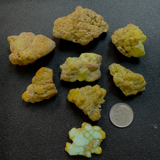 Palomino Rough Variscite-- 100 grams