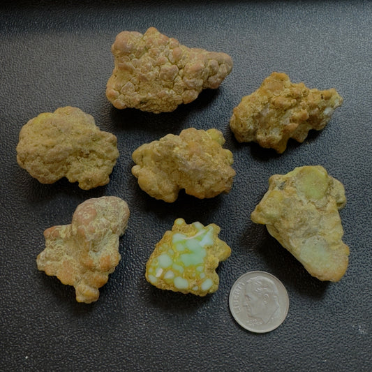 Palomino Rough Variscite-- 100 grams