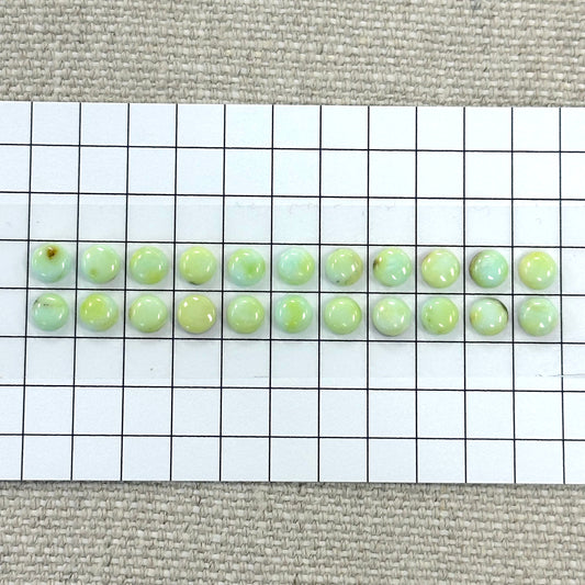Palomino Calibrated Cabochon Set-- 22 piece