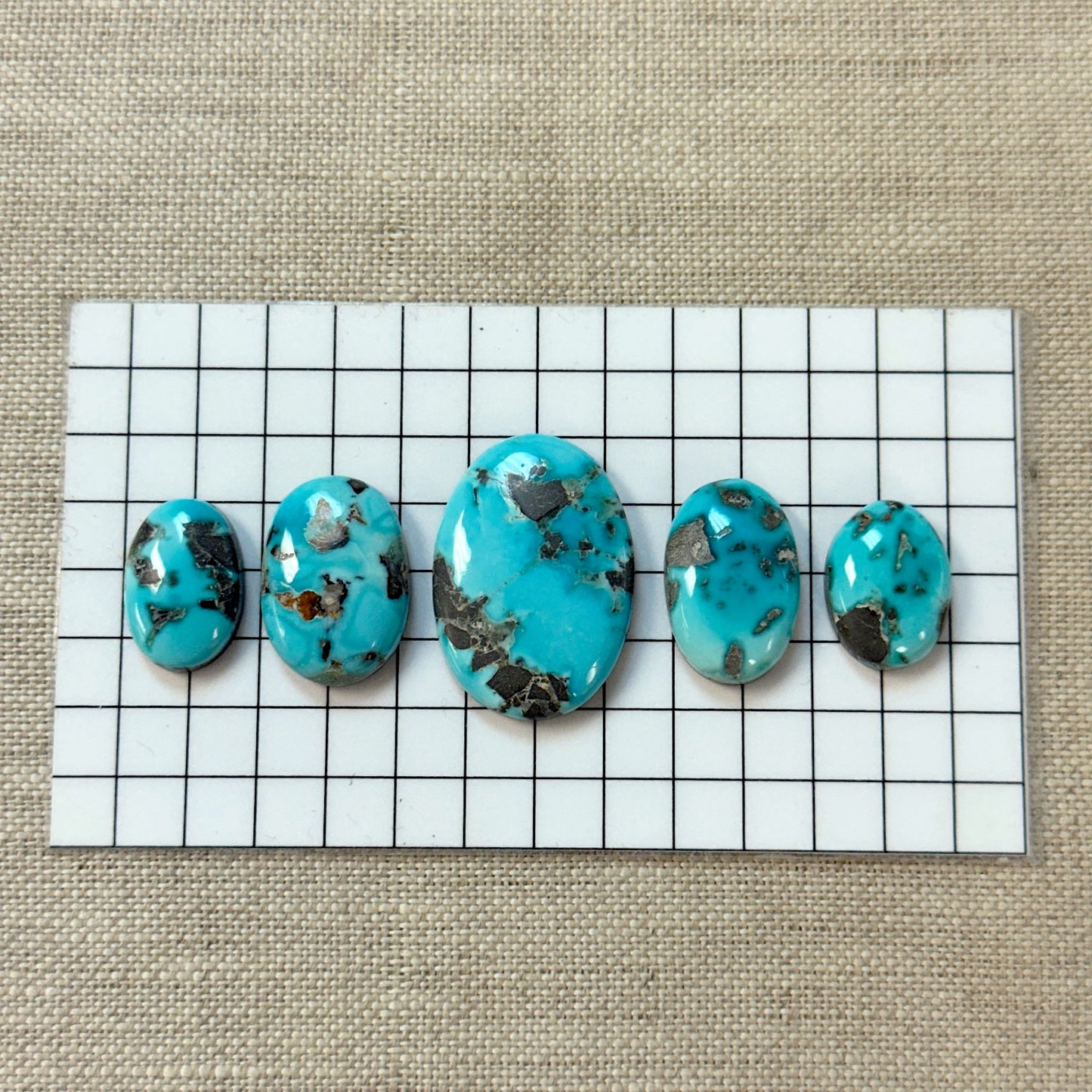 Lone Mountain Cabochon Set