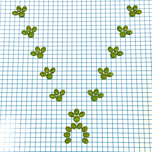 Sonoran Gold Calibrated Cabochon Set