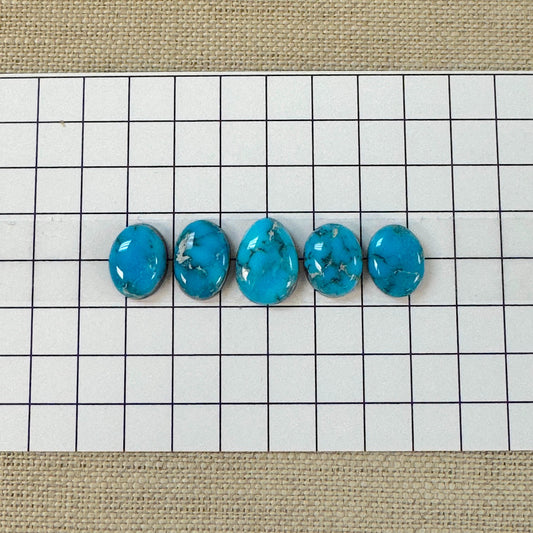 Kingman Ithaca Turquoise Cabochon Set