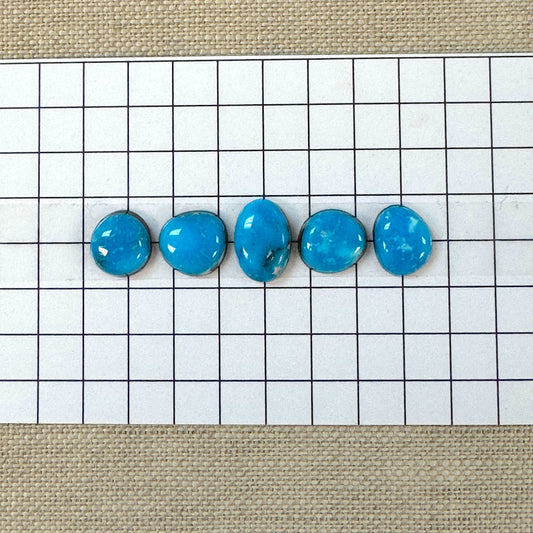 Kingman Ithaca Turquoise Cabochon Set