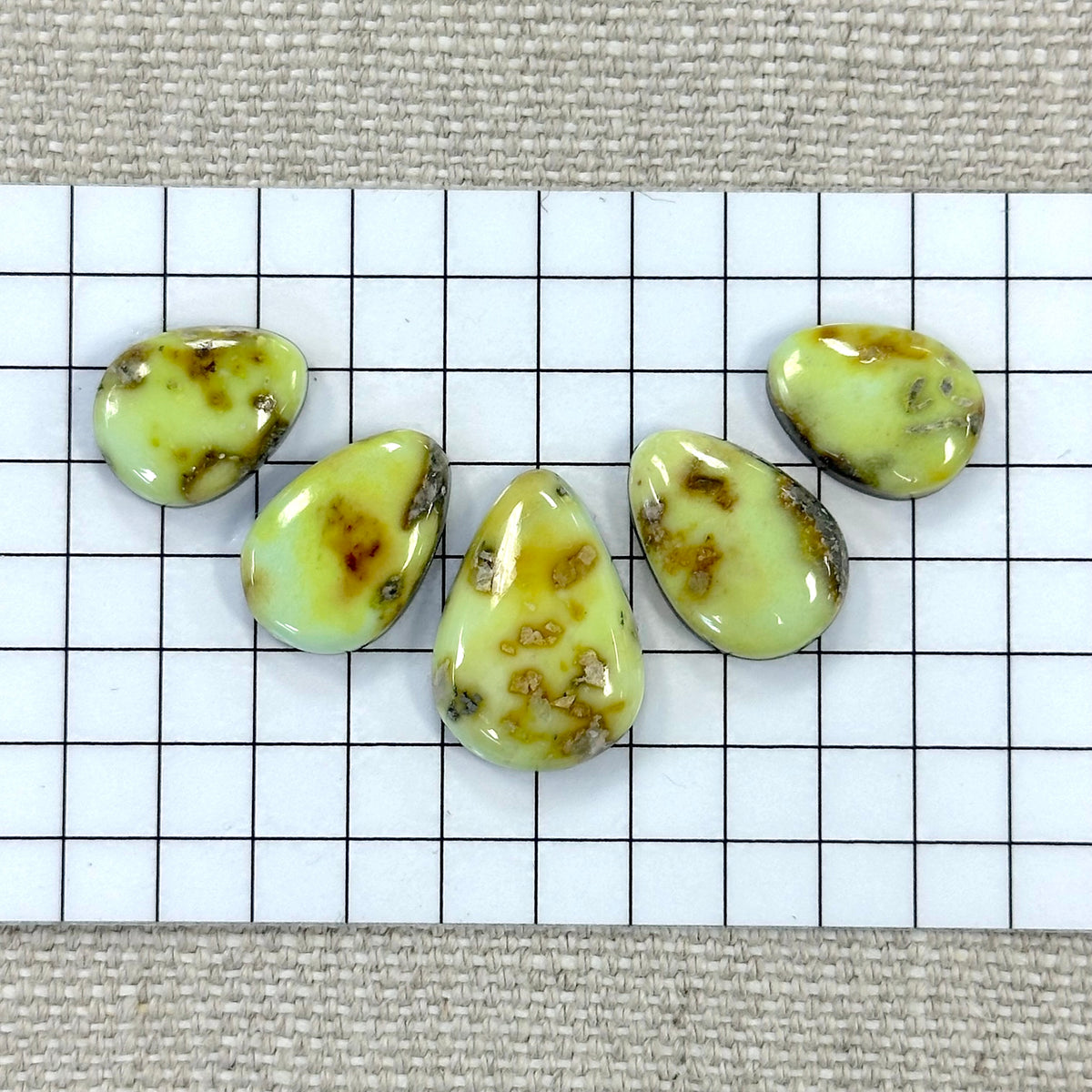 Palomino Cabochon Set