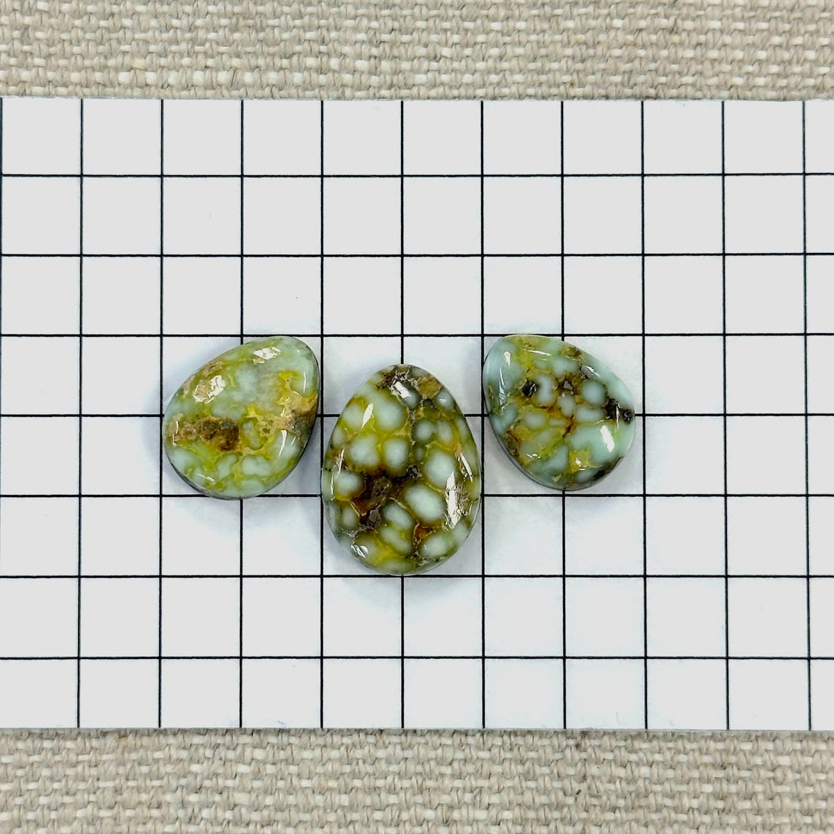 Palomino Cabochon Set