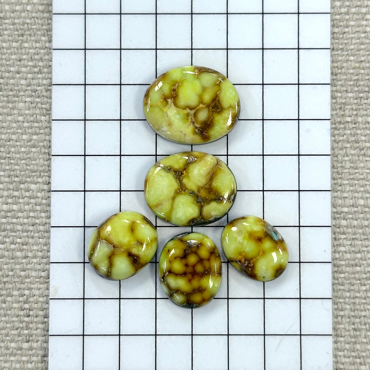 Palomino Cabochon Set