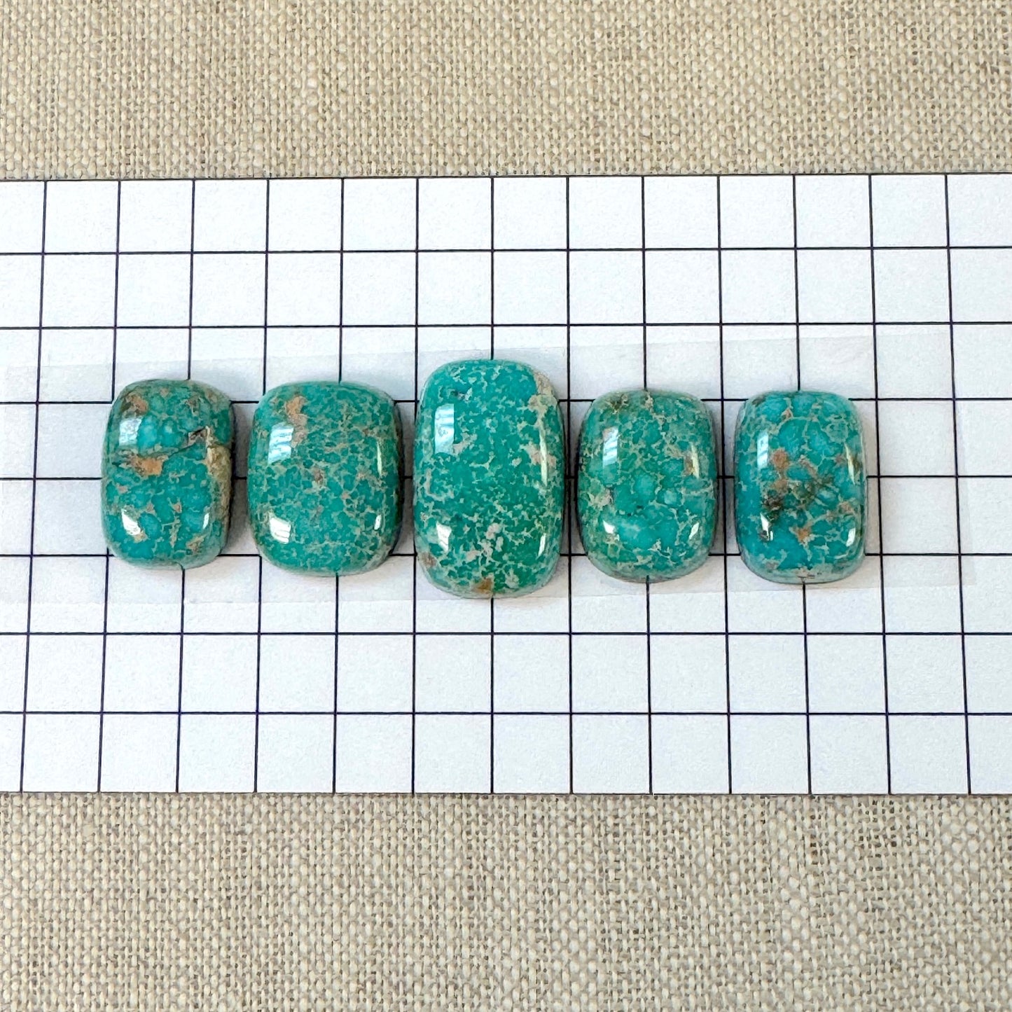 Catalina Turquoise Cabochon Set