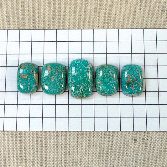 Catalina Turquoise Cabochon Set