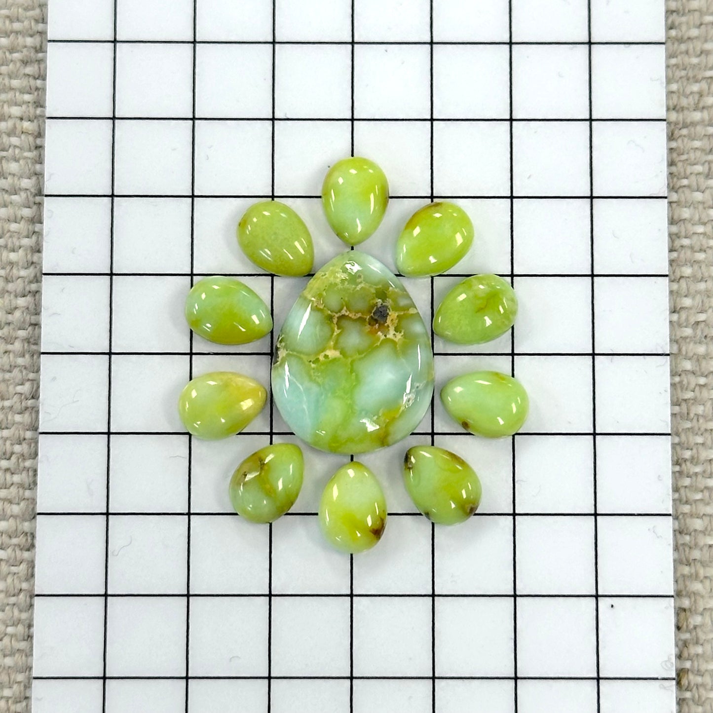Palomino Cabochon Set