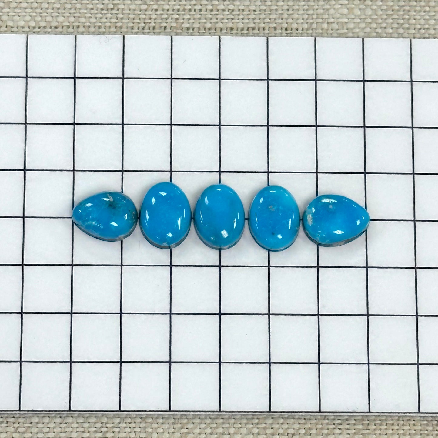 Kingman Ithaca Turquoise Cabochon Set