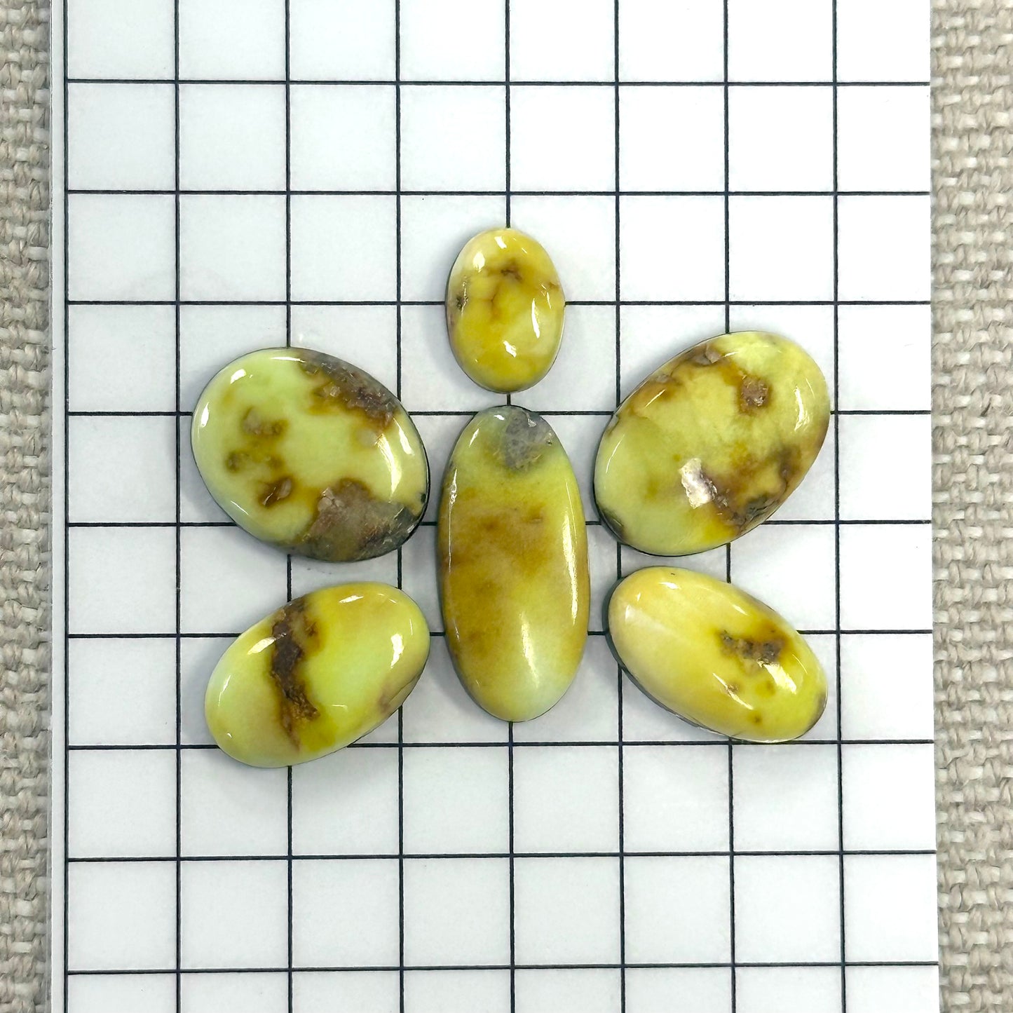 Palomino Cabochon Set