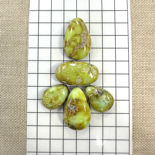 Palomino Cabochon Set