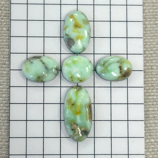Palomino Cabochon Set
