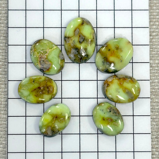 Palomino Cabochon Set