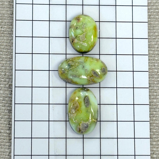 Palomino Cabochon Set